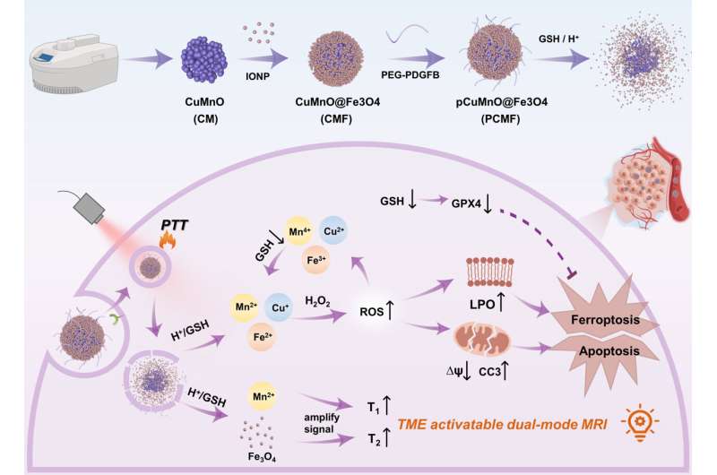 Tumor microenvironment-activated nanostructure enables precise multi-modal therapy