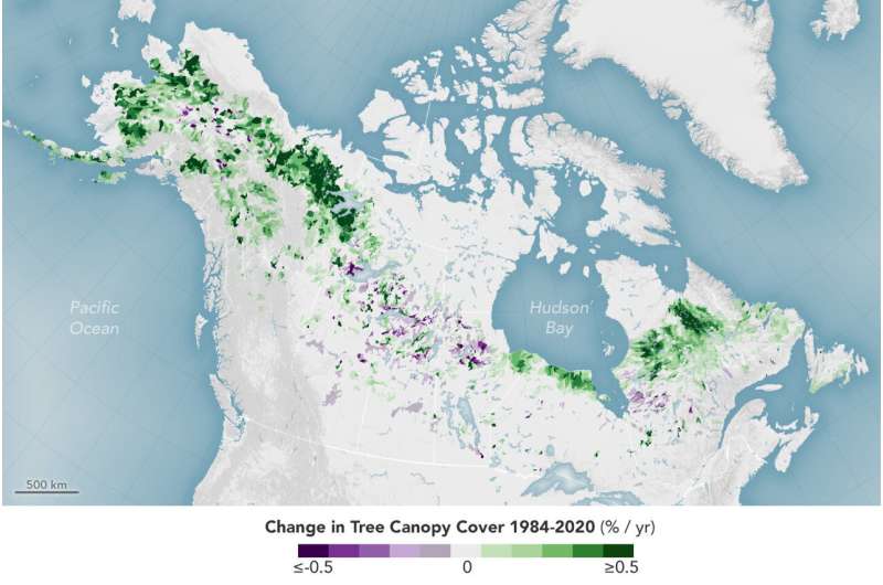 Tundra vegetation to grow taller, greener through 2100, study finds