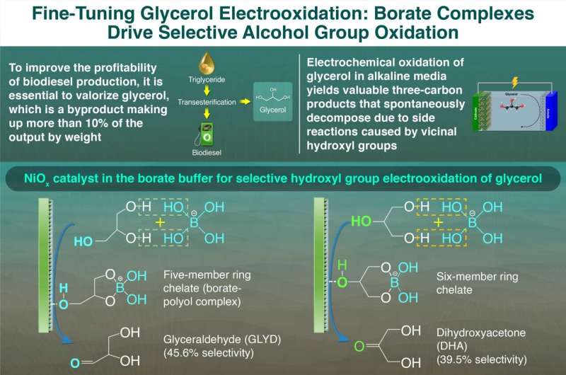 Turning glycerol into gold: a new process makes biodiesel more profitable