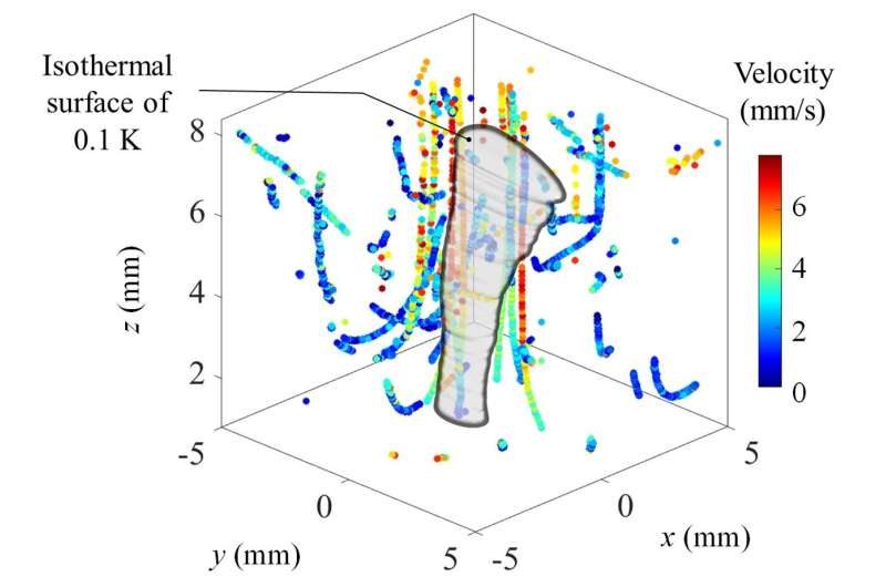 Two-in-one mapping of temperature and flow around microscale convective flows