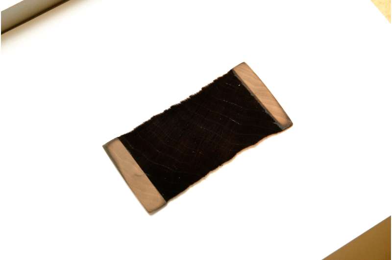 UBC super-black wood can improve telescopes, optical devices and consumer goods