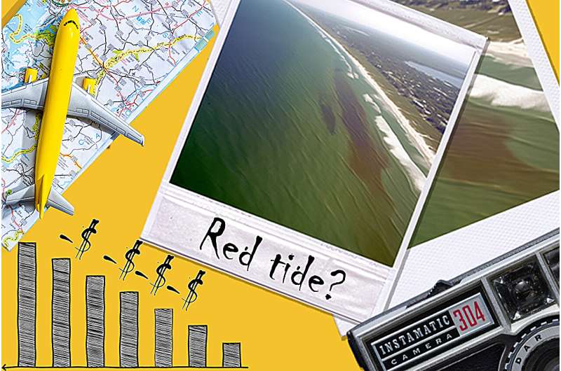 UCF Rosen College study reveals economic impact of Florida's red tide on tourism