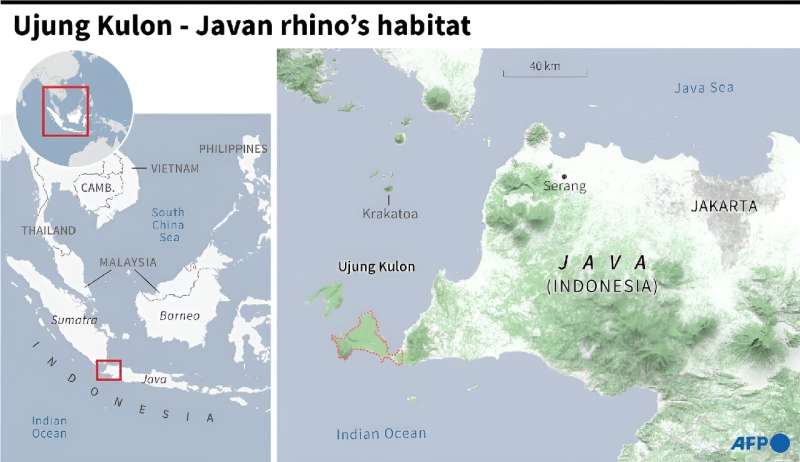 Ujung Kulon - Javan rhino's habitat