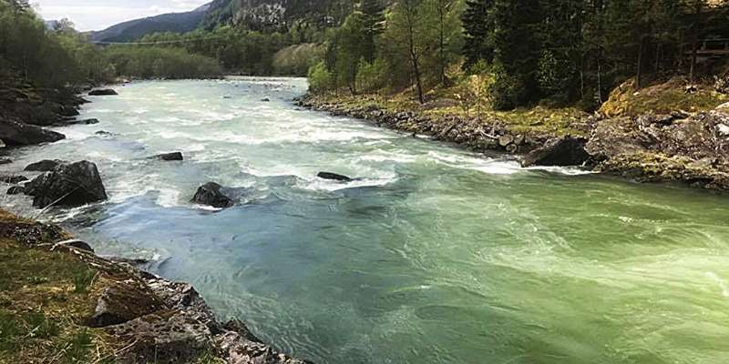 Ultrasound can save fish in hydropower rivers