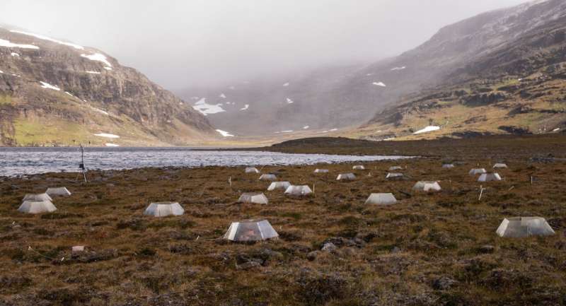 Understanding climate warming impacts on carbon release from the tundra