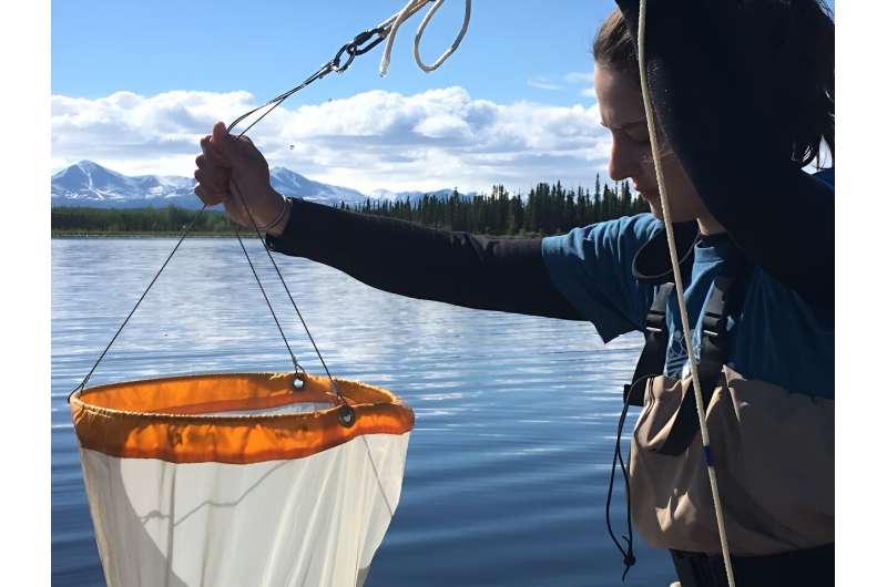 Das Verständnis der Auswirkungen menschlicher Aktivitäten auf Zooplankton ist für die Bewirtschaftung und den Schutz des Seewassers von entscheidender Bedeutung.