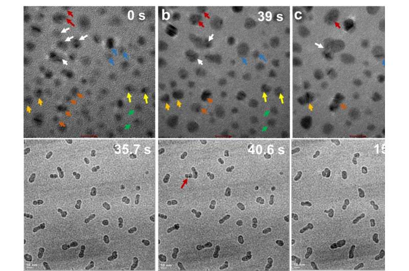 Understanding the forces that regulate crystallization by particle attachment