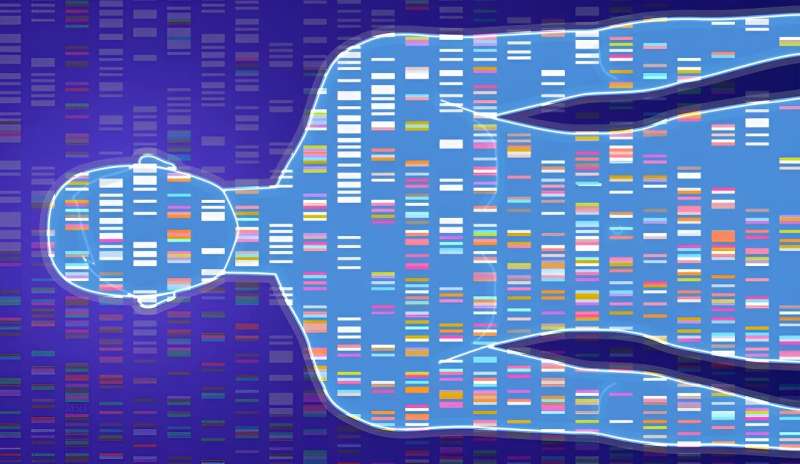 Understanding the wiring of the human genome