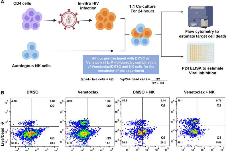 Unlocking the mechanisms of HIV in preclinical research