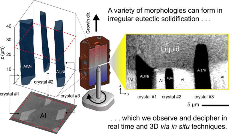 Unraveling the fundamental principles of eutectic solidification with real-time, nanoscale imaging