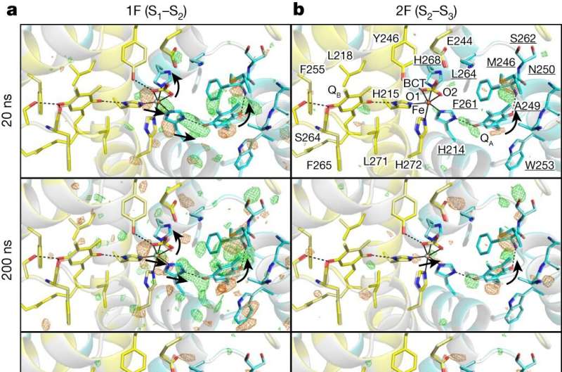 Unraveling the structural dynamics of photosystem II with femtosecond X-ray crystallography