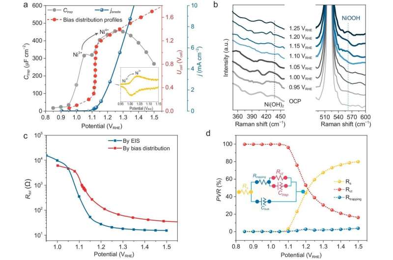 Unveiling the bias distribution in the photoelectrochemical overall water-splitting cell and corresponding regulations