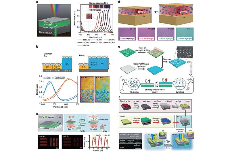 Unveiling the future of photonics: Hydrogel innovations pave the way