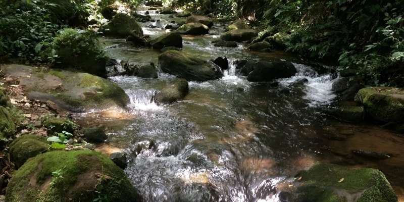 Urbanization has led some Costa Rican water sources to exceed safety levels