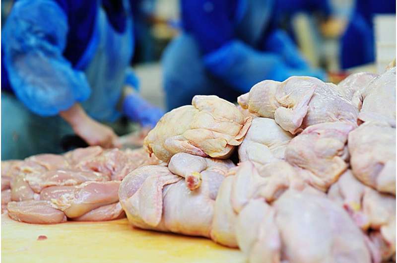 USDA toughens rules on salmonella in poultry
