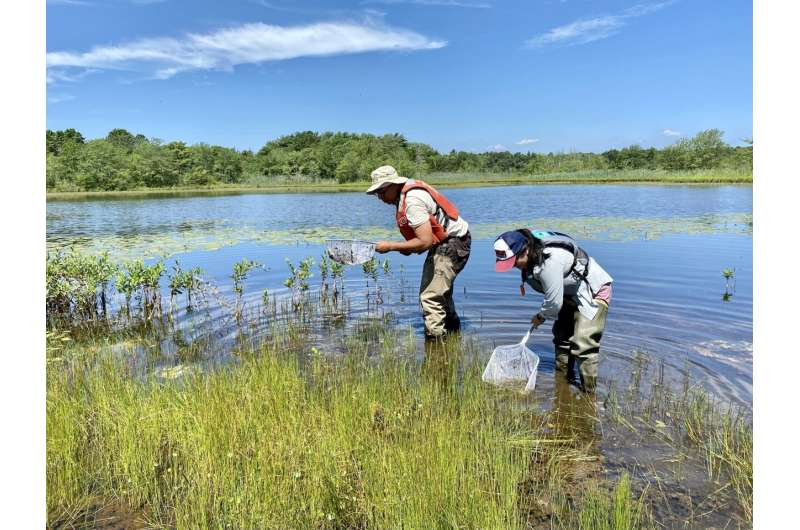 USGS: Local dragonflies expose mercury pollution patterns
