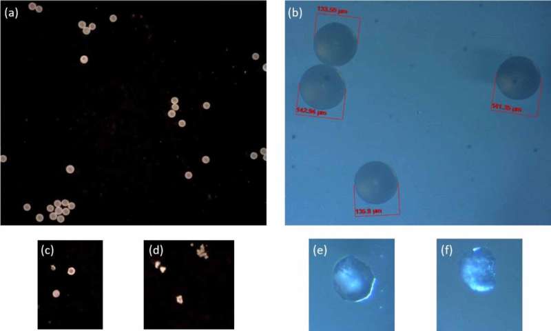 Met 3D-beeldvorming kunnen onderzoekers de afbraak van micro- en nanoplastics met ongekende details observeren