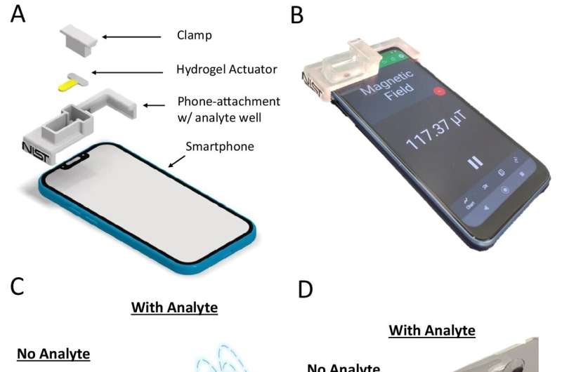 Using a cellphone compass to measure tiny concentrations of compounds important for human health