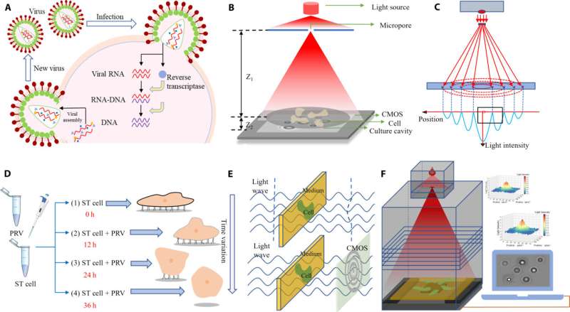 Using a non-destructive, light diffraction fingerprint technique to detect viral infections in cells 