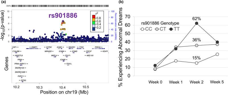 Using genetics to help smokers quit