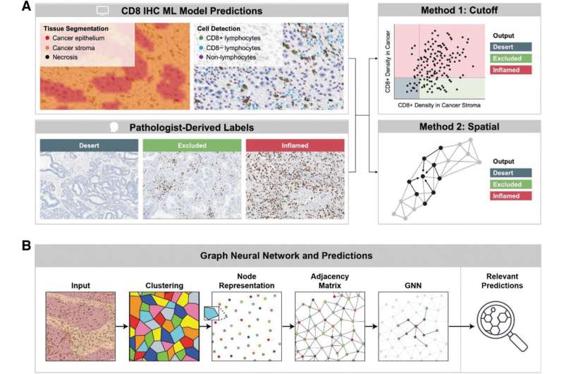 Using machine learning to identify patients with cancer that would benefit from immunotherapy