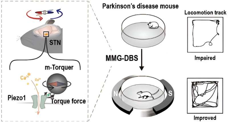 Usando neurônios magnetizados para tratar os sintomas da doença de Parkinson