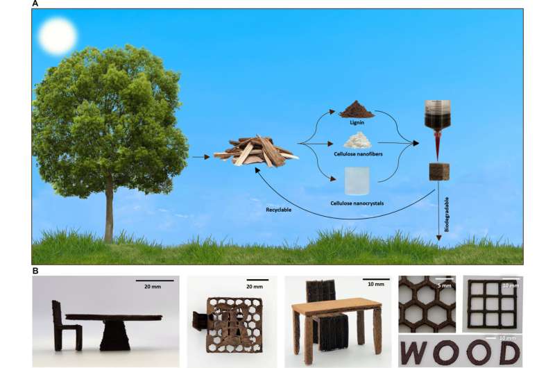 Using wood waste products to produce ink for 3D printing of wood objects