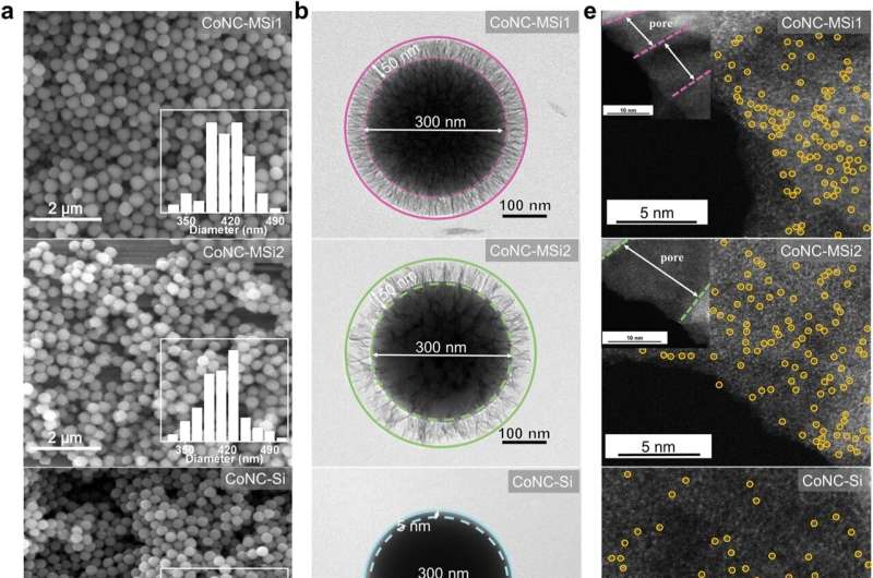 USTC achieves breakthrough in controlling water pollution through single-atom catalysis