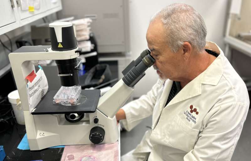 UTEP researchers discover compound that fights leukemia, lymphoma