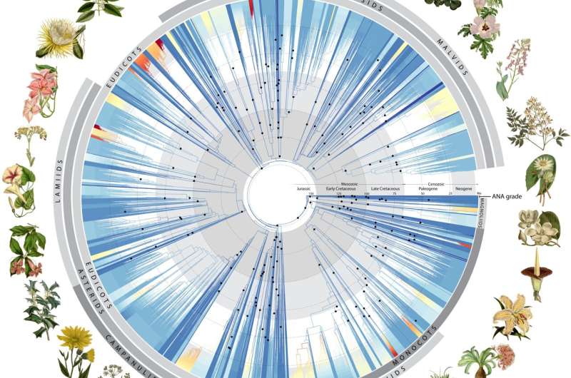 Un equipo científico mundial revela un enorme árbol de vida de ADN para plantas utilizando 1.800 millones de letras de código genético