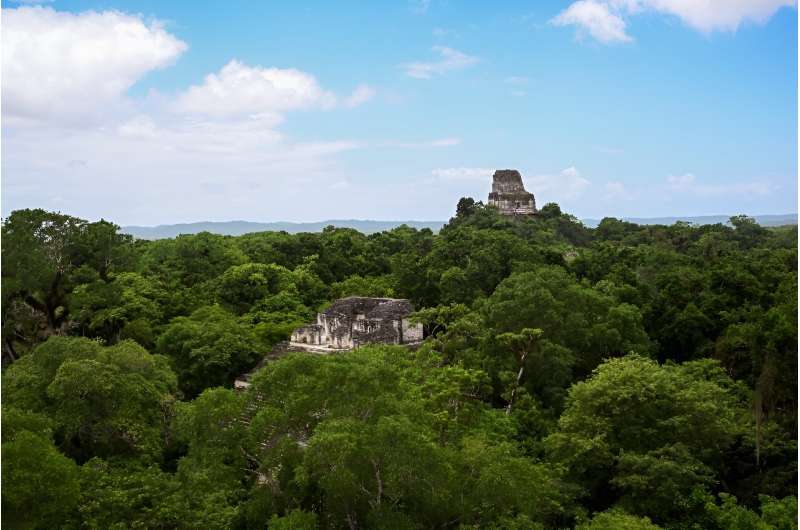 Blick auf die Maya-Tempel an der archäologischen Stätte Tikal in der Maya-Biosphäre von Petén, Guatemala, 24. Juli 2024