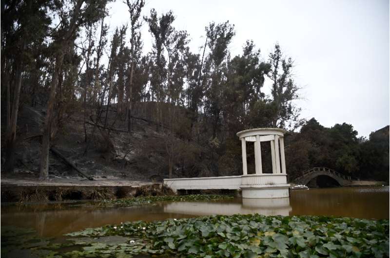 View of the Vina Del Mar Botanical Garden, designed by French Georges Dubois in 1918, after a forest fire swept through last week