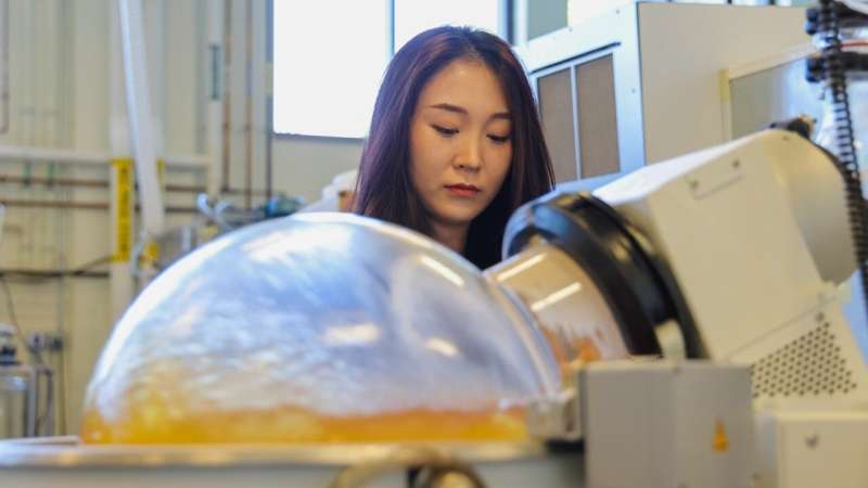 Virginia Tech researchers work to create biodegradable bioplastics from food waste