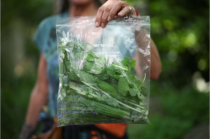 Visitors go away with edible plants and herbs after being shown what they can pick