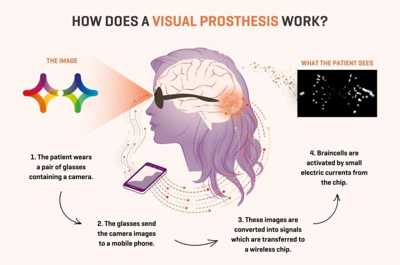 Visual prosthesis simulator offers a glimpse into the future