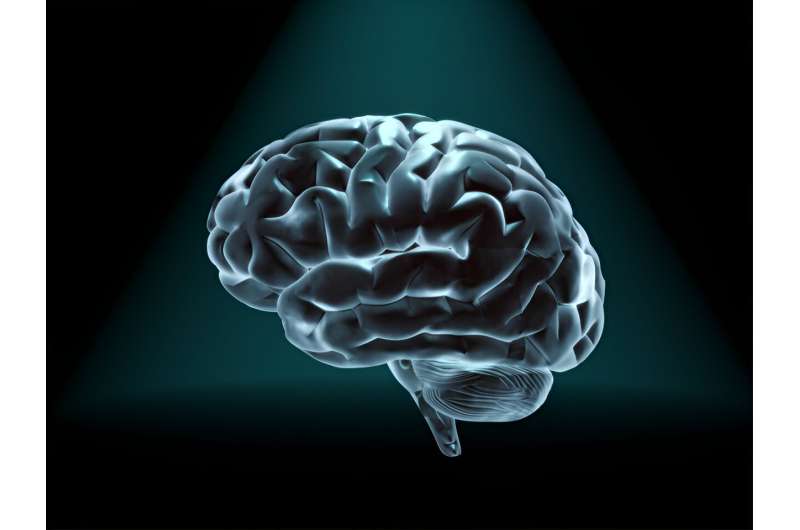 Volume of gray brain matter significantly lower in people with early onset psychosis