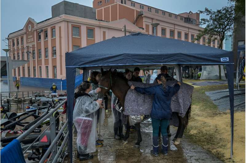 Freiwillige kümmern sich um ein Pferd in einem Tierheim im historischen Zentrum von Porto Alegre, Brasilien, 11. Mai 2024.