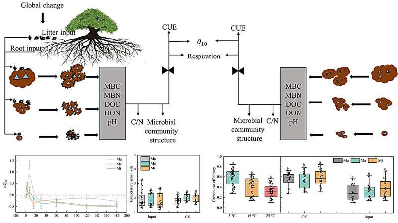 Warming and exogenous organic matter input affected temperature sensitivity and microbial carbon use efficiency of agricultural soil respiration on the Qinghai-Tibet Plateau