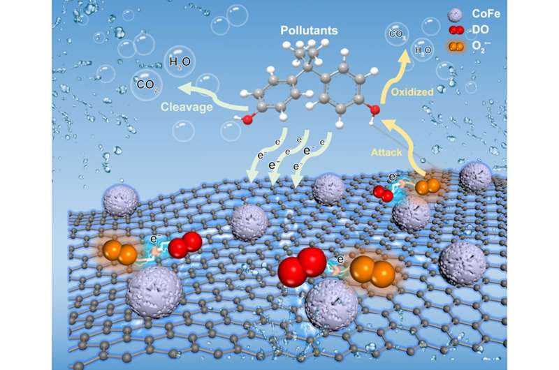 Water self-purification achieved via electron donation—novel catalyst enables sustainable wastewater treatment