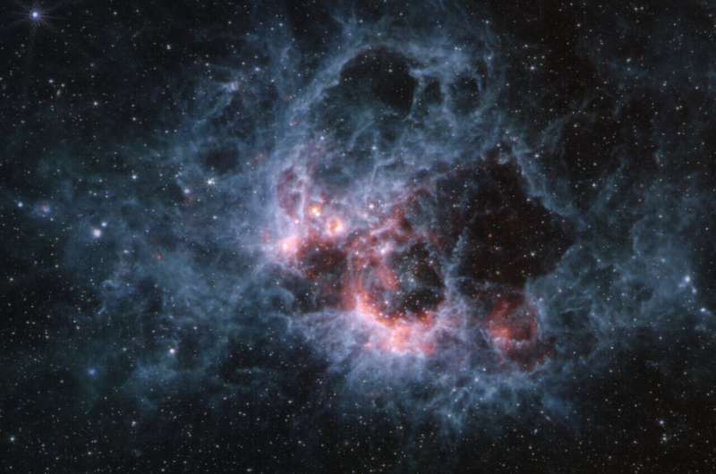 Webb peers into the tendrils of NGC 604