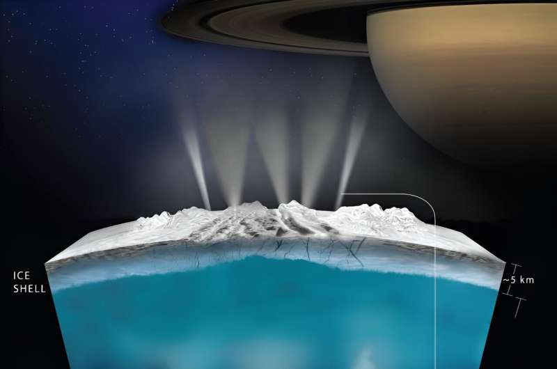What can we learn flying through the plumes at Enceladus?