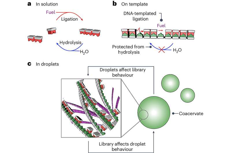 What gave the first molecules their stability?