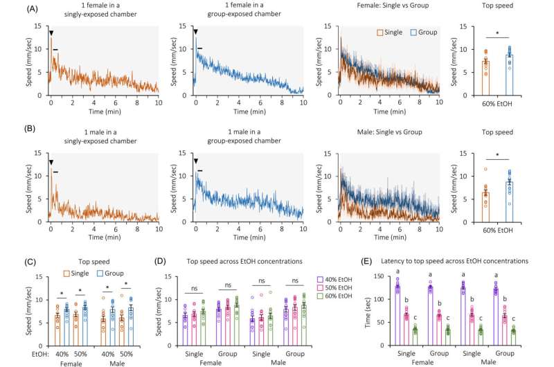 What happens to your brain when you drink with friends?