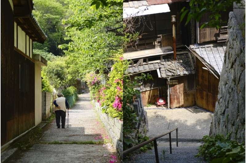 What lessons can be learned from Japan's rural movement initiative, 15 years on?