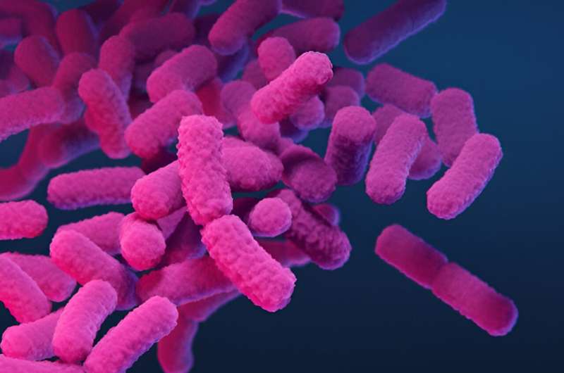 What makes a pathogen antibiotic-resistant?