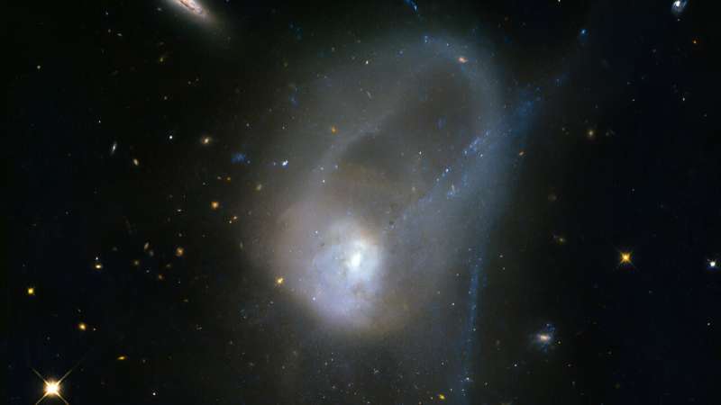 What makes black holes grow and new stars form? Machine learning helps solve the mystery
