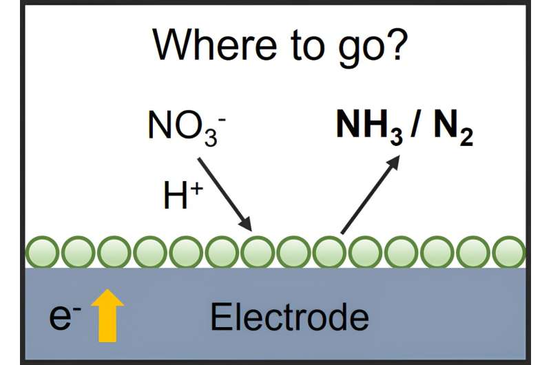 Where to go with nitrate electroreduction reaction?