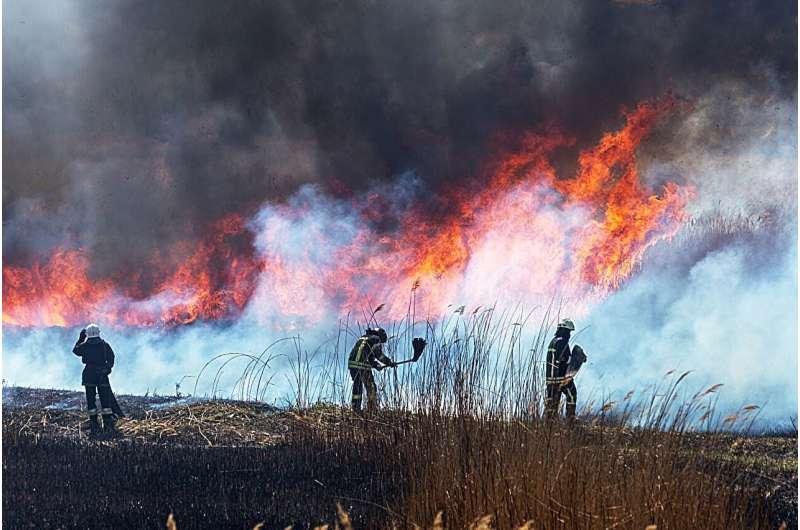 Wildfire smoke exposure linked with higher dementia risk