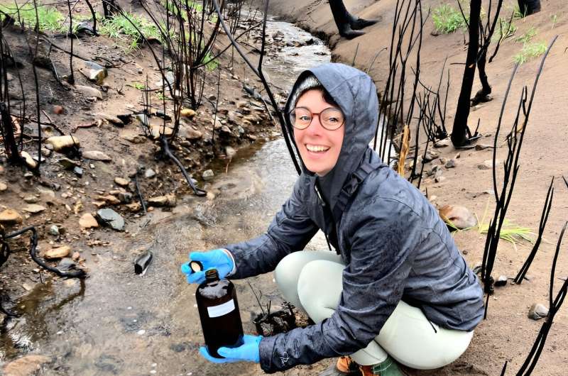 Wildfires don't just burn. They can also pollute aquatic ecosystems | CU Boulder Today