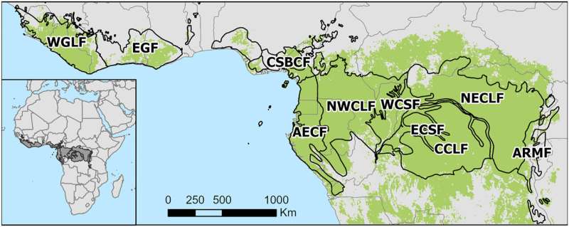 Los incendios forestales en los bosques húmedos africanos se han duplicado en las últimas décadas